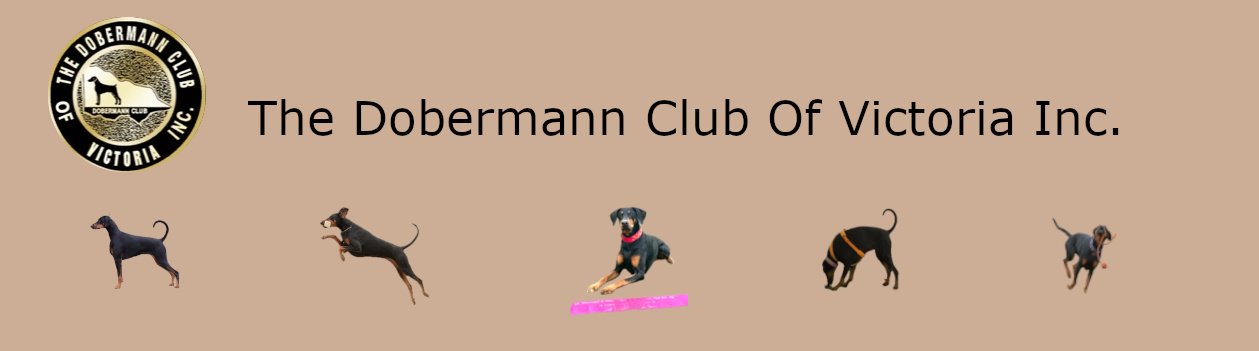 Dobermann Club Of Victoria